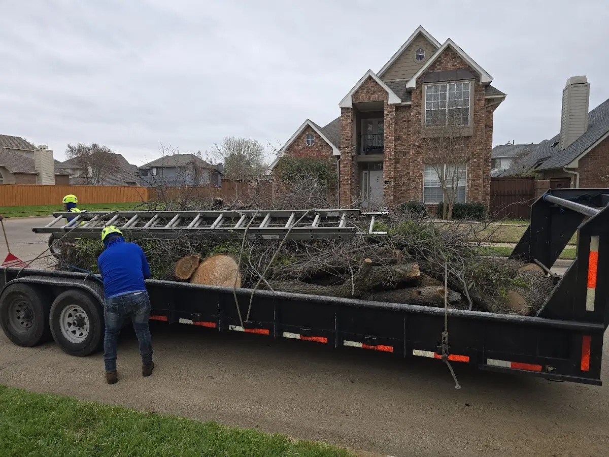 Expert Tree Fertilization with proper safety equipment in Winnfield
